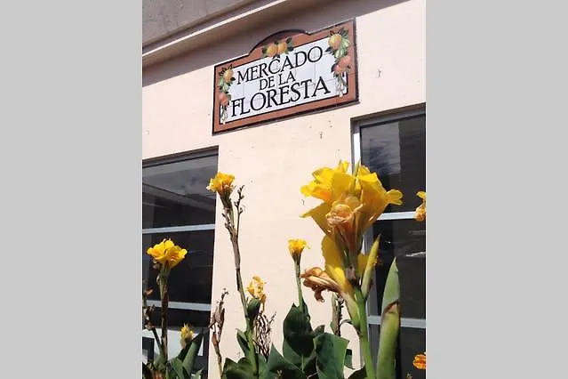 Suite For Savvy Travellers In Bohemian La Floresta Quito Apartment