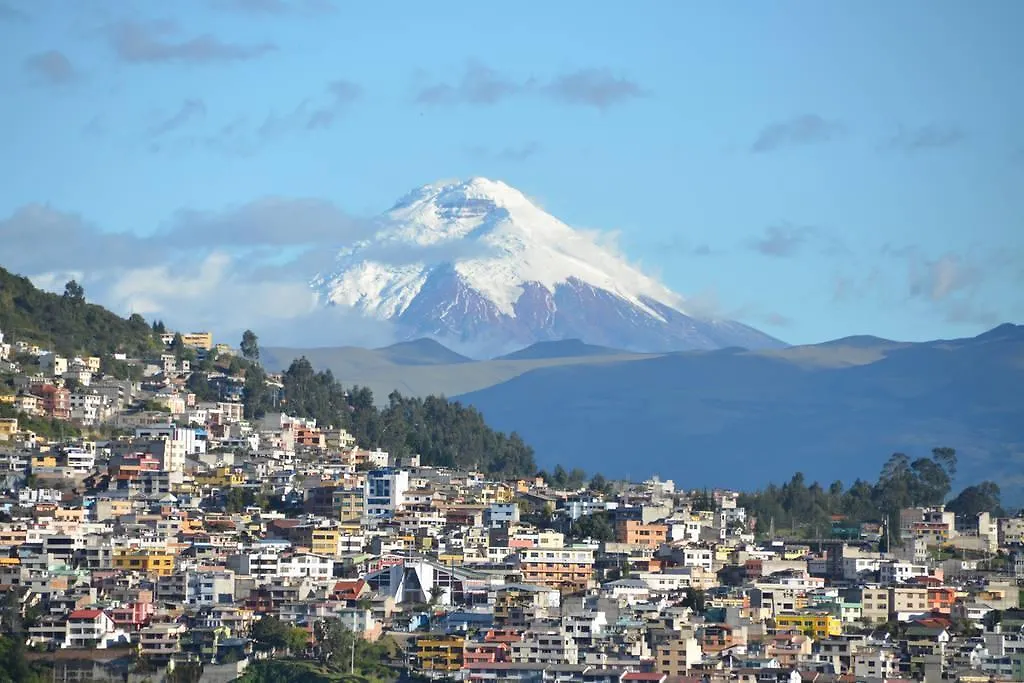 Suite For Savvy Travellers In Bohemian La Floresta Quito Ecuador